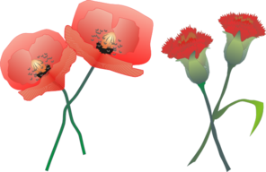 Blossoming Carnations Clip Art
